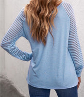 Blue Sheer Stripe Top